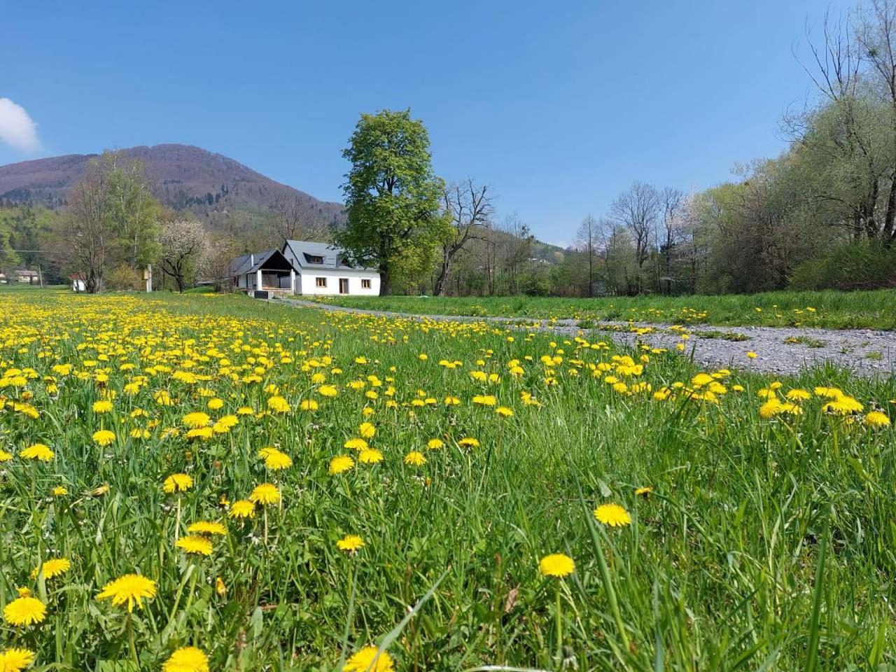 Nebesky 81 Villa Kunčice pod Ondřejníkem Eksteriør billede